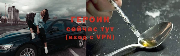 прущие грибы Пересвет
