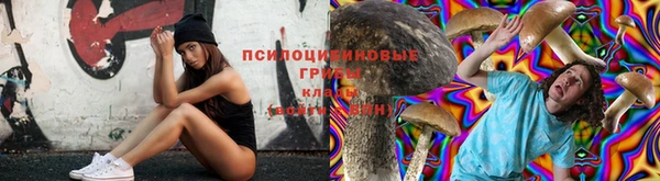 соль ск Алексин