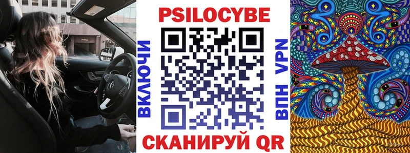 Псилоцибиновые грибы Cubensis Иланский